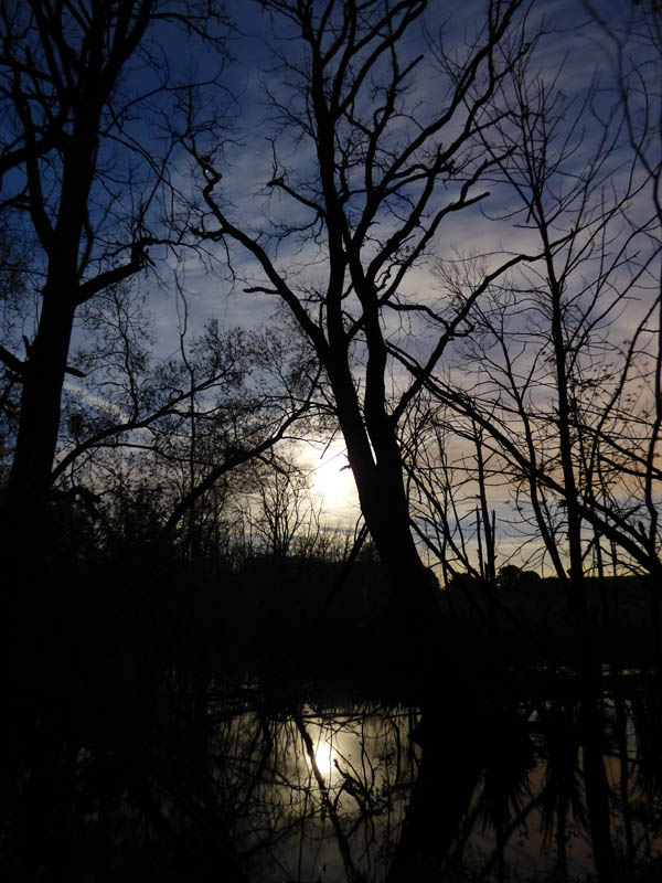 Marais lunaire